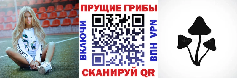 Купить закладки  Макушино  Псилоцибиновые грибы GOLDEN TEACHER 
